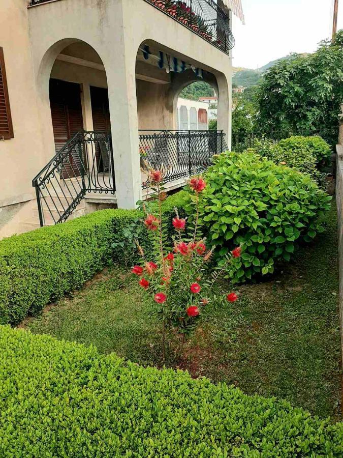 Andrej Apartments Kotor Ngoại thất bức ảnh